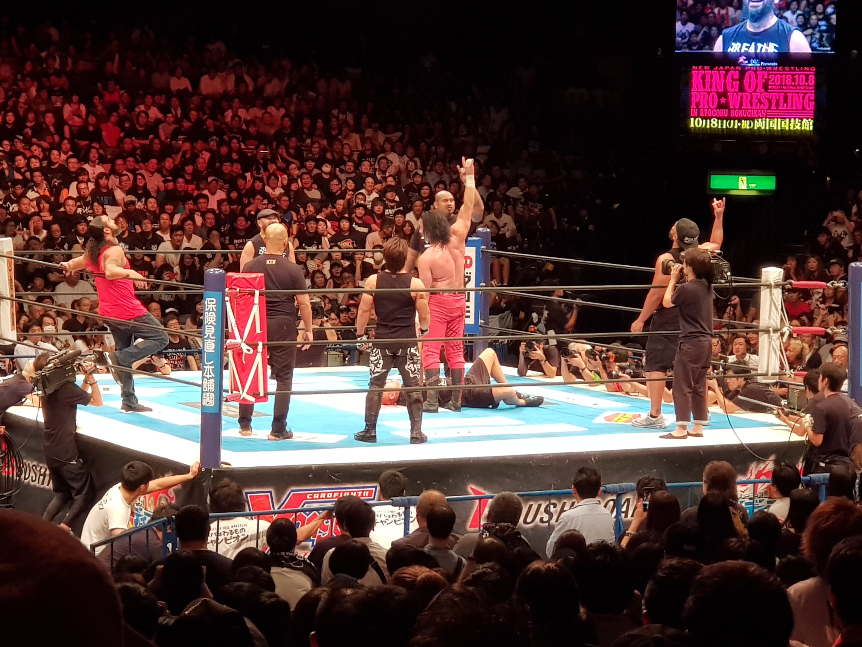 🏟️ 료고쿠 국기관 (양국 국기관) 이미지 4